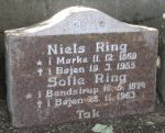 Niels Ring.jpg